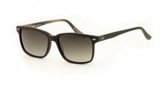 WE 3079 Matt Black Polarized